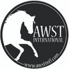 AWST International