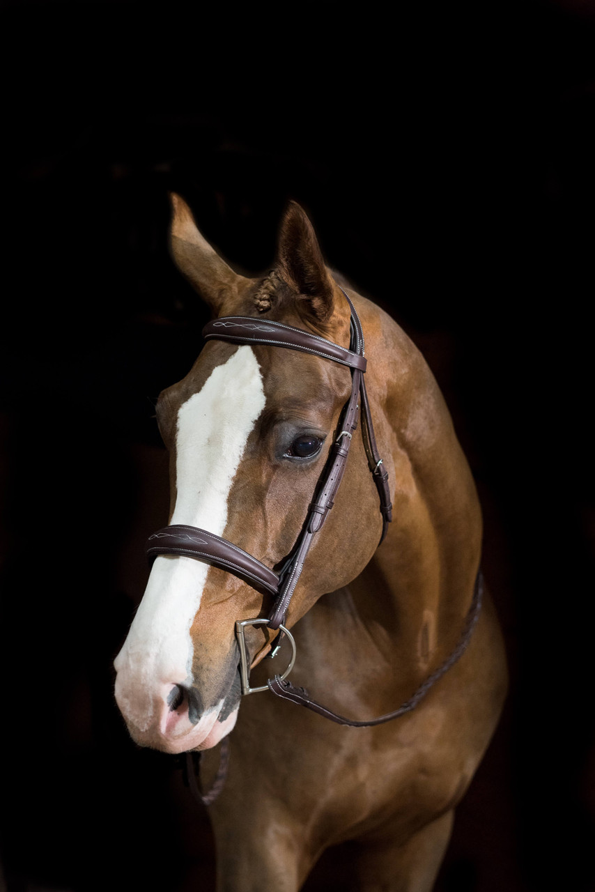 Pessoa® PRO Fancy Stitched Tapered Bridle