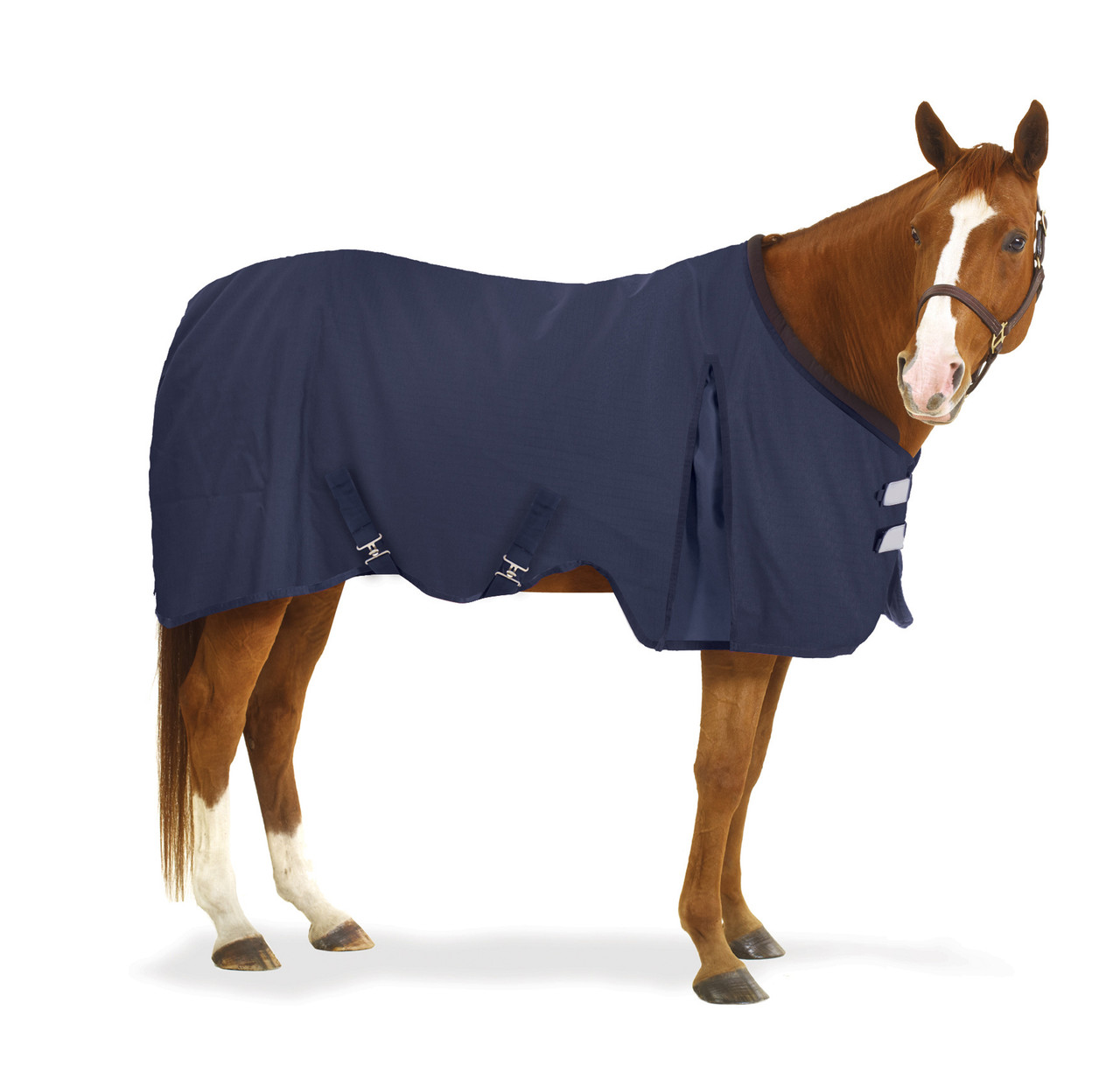 Equi-Essentials EZ-Care Solid Stable Sheet