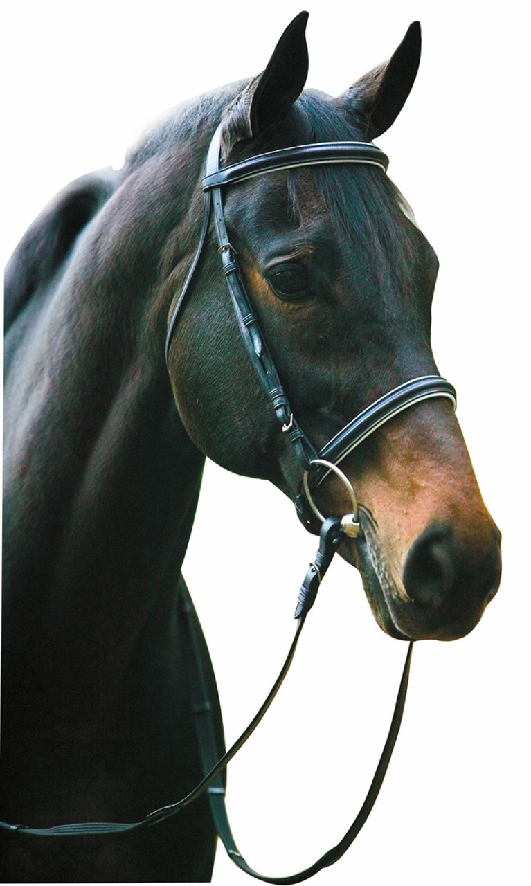 HDR Dressage Bridle - black with white