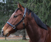 HDR Everyday Halter HDR Everyday Halter