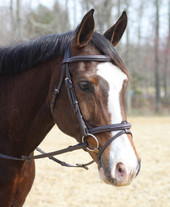 HDR Kushy Bridle with Detachable Flash