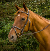 HDR Pro Monocrown Bridle with Flash and Rubber Reins