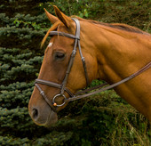 HDR Pro Monocrown Bridle with Flash and Rubber Reins