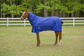 TuffRider 1680D Super Comfy Heavy Weight Detachable Neck Turnout Blanket 350 gms  - royal