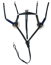 HDR Pro 5 Point Elastic Breastplate Martingale - black w/navy HDR Pro 5 Point Elastic Breastplate Martingale - black w/navy