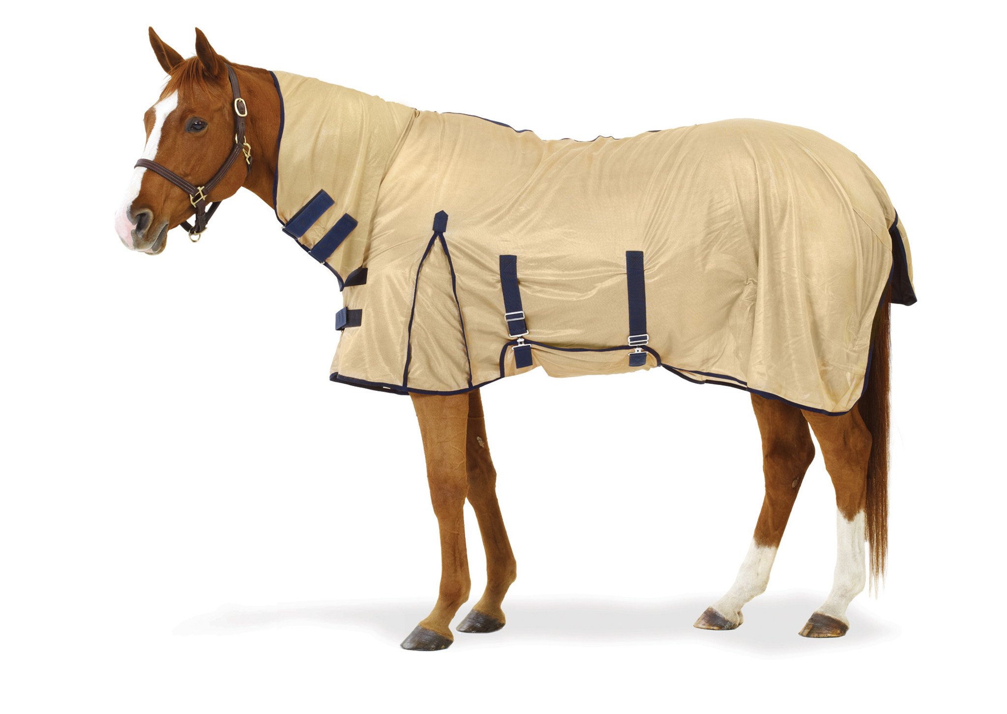 Equi-Essentials Softmesh Combo Fly Sheet with Belly Band - The ...
