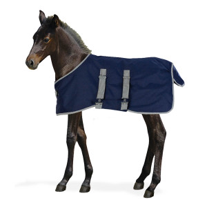 Centaur 600D Foal Turnout Blanket Centaur 600D Foal Turnout Blanket