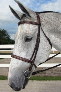 HDR Pro Stress Free Fancy Padded Bridle - Australian Nut HDR Pro Stress Free Fancy Padded Bridle - Australian Nut