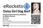eRockets Daisy Girl Dog Barf Recovery Wadding for model rockets 1.5 lb Box ERK 9066