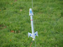 NewWay Clone Flying Model Rocket Kit Centuri Python Fighter  NWY-56