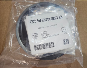 YAMADA PUMP K25-MN-1, LIQUID END KIT FOR MODELS:  NDP-25BAN, BFN, BSN, BAN-PP, BFN-PP, BSN-PP