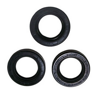 General Pump Kit 37, Oil Seals