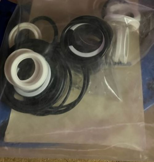 CAT PUMPS 76235 - SEAL KIT WITH STG - FPM* B 3501, 3501C