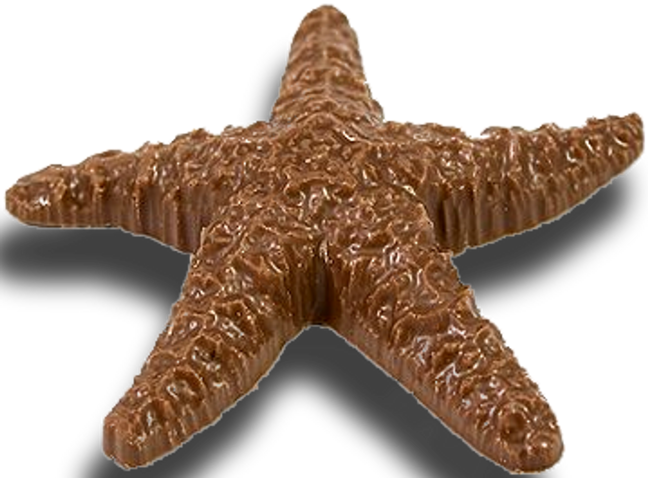 Chocolate Star Fish - Angell and Phelps Chocolate Factory