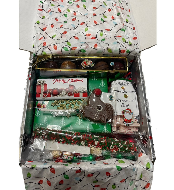 Medium Holiday Christmas Mailer