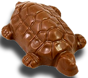 Chocolate Turtle - Angell and Phelps Chocolate Factory