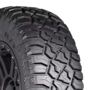 Fortune Tormenta R/T Fsr309 305/55R20 Tires | 9305030041