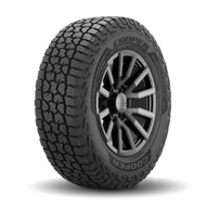 Discoverer Stronghold At