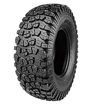 Aftershock XD (AR33)