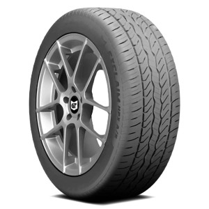 General Exclaim Hpx A/S Tire 205/50R17 93V 700 A A | 15498520000