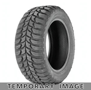 Roadone Aethon M/T 35x12.50R24 Tires | AR1037