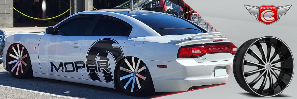 elure-wheels-wsg.jpg elure-wheels-wsg.jpg