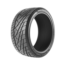 225/30R20 Show & Stance Tires | WheelSetGo