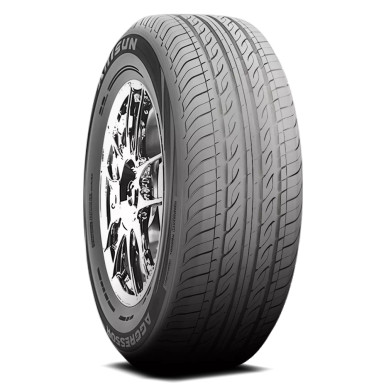 Arisun Aggressor Zp01 245/45R18 Tires | TH21213