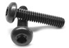 #4-40 x 1/2" (FT) Coarse Thread Machine Screw 6 Lobe Pan Head Low Carbon Steel Black Oxide