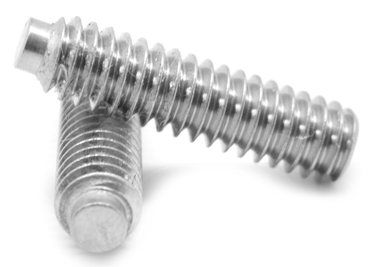 1/4"-20 x 5/16" Coarse Thread Socket Set Screw Half Dog Point Stainless Steel 18-8