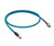 Teal patch cable featuring an M12 connector on one end and a circular connector.