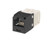 CAT 6 black and white modular network jack.
