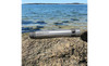Conductivity Sensor