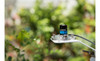 LI-COR LI-190R Quantum Sensor, Bare Lead