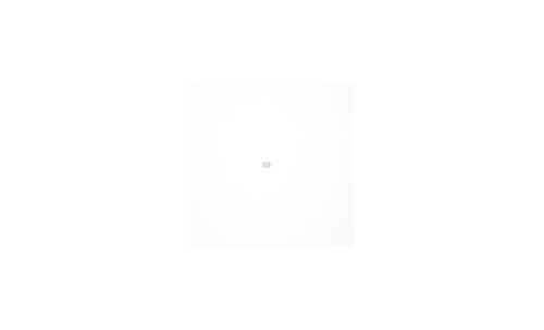 LI-610 Dew Point Generator Hosebarb Filter Screen