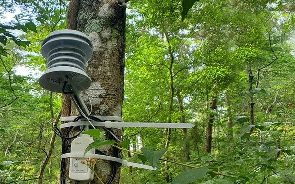 Cooling Study Looks at Benefits of Urban Green Spaces in the Face of Climate Change