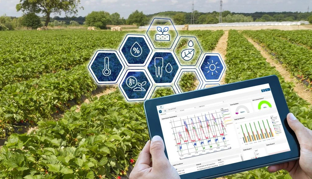 Key Advantages of a HOBOnet Wireless Sensor Network