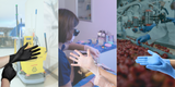 Breaking Down the Differences: Nitrile vs. Latex vs. Vinyl vs. the Newest Innovation in Hand Protection