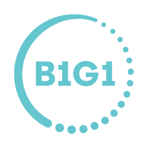 B1G1 Partnership