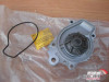 Water Pump fits Honda Civic CRX Rover 200 EW2 D12B1 D13B2 EV2 PA0308 View Rear