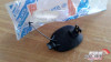 Front Bumper Towing Cap Plug fits Fiat Punto 182946399 Genuine View Rear