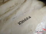 Back Window Windshield Seal Gasket fits Alfa Romeo Alfasud 108664 Genuine View Rear
