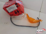 Turn Signal Lens Front Left fits Alfa Romeo 90 16208420110001 60742278 Genuine View Rear