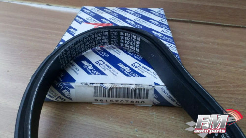 6PK1660 Belt fits Fiat Ulysse Lancia Z 9615207880 71739921 Genuine View Front