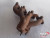 Exhaust Manifold fits Alfa Romeo Giulietta 60729156 116500170500 Genuine View Front