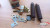 Brake Shoes Repair Kit fits Renault Truck Bus GB TB191 231 5000815040 Genuine View Front
