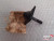 Front Leaf Spring Pin Pad fits Fiat 126 4110571 Genuine View Front