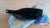 Handbrake Handle Cover fits Fiat Tipo MF ME NG NS NT 181206780 Genuine View Left
