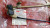 Window Regulator Rear Right Manual fits Alfa Romeo 164 60509534 Genuine View Right